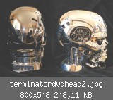 terminatordvdhead2.jpg
