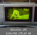 SDC10201.JPG