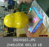 DSC00163.JPG