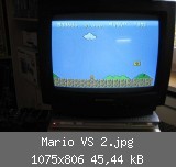 Mario VS 2.jpg